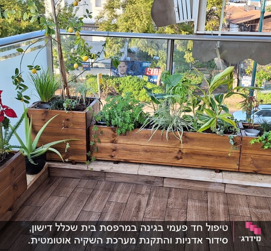 עציצים עם צמחים שונים על מרפסת עץ